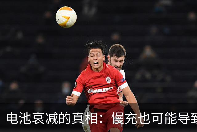 电池衰减的真相：慢充也可能导致严重损耗